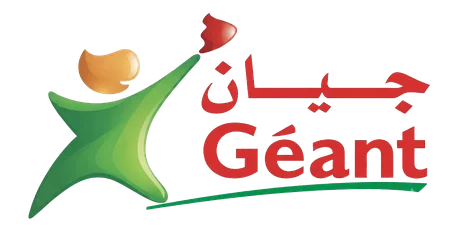 شعار شركة جيان السعودية
